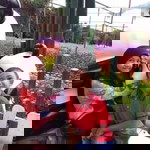 Nur Amni Amsyar Arman profile icon