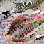 Ridwan Mail profile icon