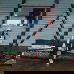 Dung Trịnh profile icon