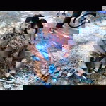 Naret Wuprakhon profile icon