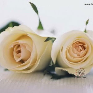 Muqodimatur Romadhon profile icon