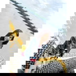 เนย จ๋า'า profile icon