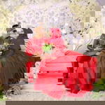 Fara Hafika profile icon