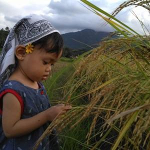 Rai Sita profile icon