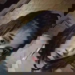 อ้อ' หรอ profile icon