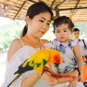 Mint Pawanrat profile icon