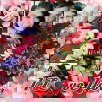 Risna Kahar profile icon