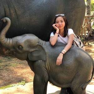 Gcel Macasieb profile icon