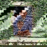 Nuttakorn Padungpunt profile icon