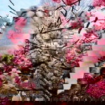 Wilva Alita profile icon