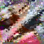 นงนุช จันทร์คำ profile icon