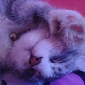 Hilda Widiawati profile icon