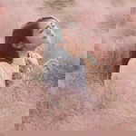 Worakanok Bunsuth profile icon