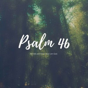 Len Añonuevo profile icon