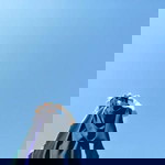 Sofu Binsalaeh profile icon