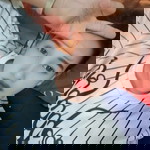 มด'ด จ๋าา profile icon