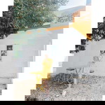 Minnie JM profile icon