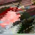 Bint Muhammad Wahyudi profile icon