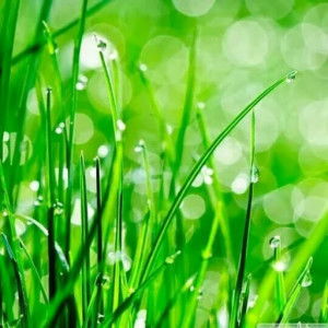 Sukmawinata profile icon