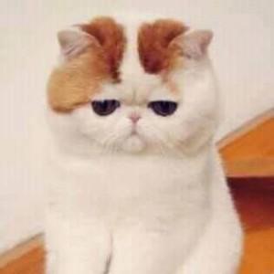 Nanie Ruse Surin profile icon