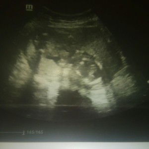 Erwin Estrella profile icon