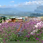 IPloy Phetphairin Zubza profile icon