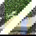 Kinanti Fariza profile icon