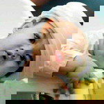 Sanjana Malika profile icon