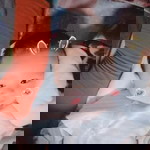 Pé Heo profile icon