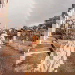 Annaa Yunus II profile icon