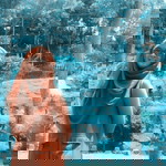 Ntie MurasakiiRo Soedibyo profile icon