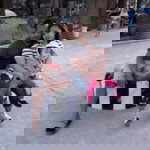 milkaela arsy putri azzahra profile icon