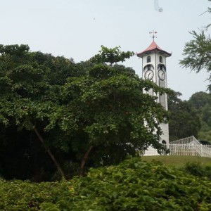 Hada Daud profile icon