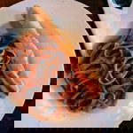 Lea Holmes profile icon