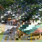 Ria resti profile icon