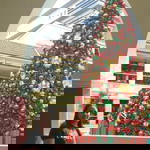 Joan Ocampo Olivete profile icon