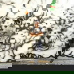 ทำที่เราทำ ได้ก็พอ profile icon