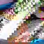 Nheea Nihaya profile icon