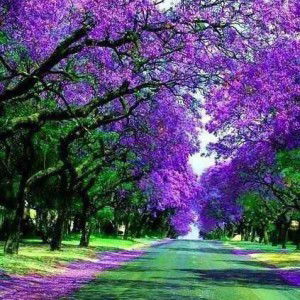 ไม่ขอหั้ยเหมือนใคร เพราะมันไม่ใช่เทอ profile icon