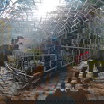 Arce Jay Domine profile icon