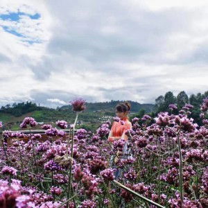 Tarn Nida profile icon
