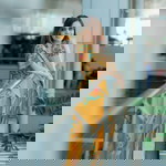 Chidapa Joon profile icon