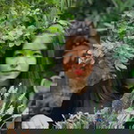 Psyche Awy'z profile icon