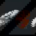 Mandalestari profile icon