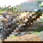 Rohmahindri Habsari profile icon