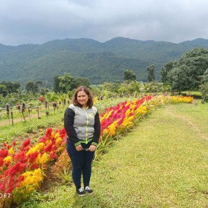 Balboa Marco Ivory Van profile icon