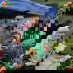 Tiqa Kamal profile icon