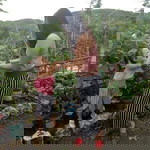 Susmitha Cuyos profile icon