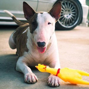 Kwang Power profile icon