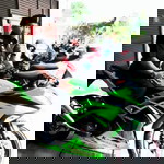 sazali 2017 profile icon